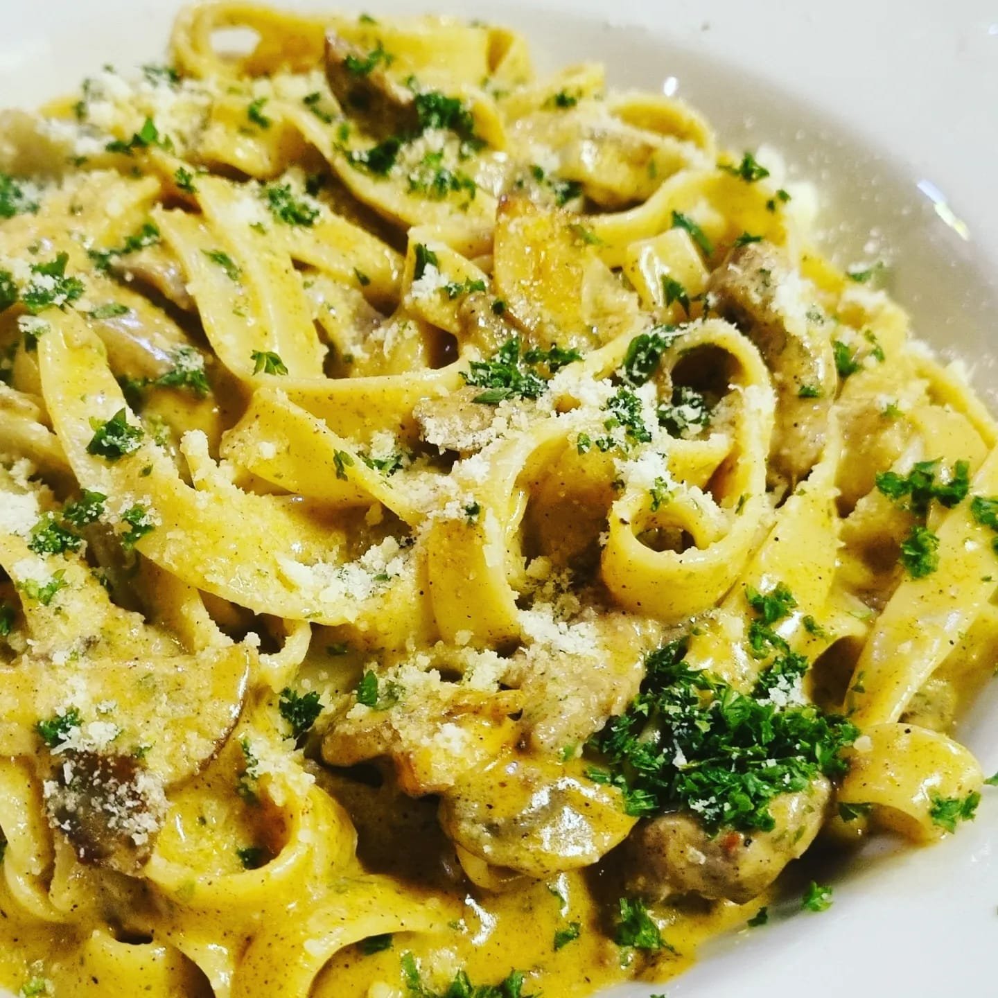 Fettuccini in a creamy mushroom sauce, plated with care