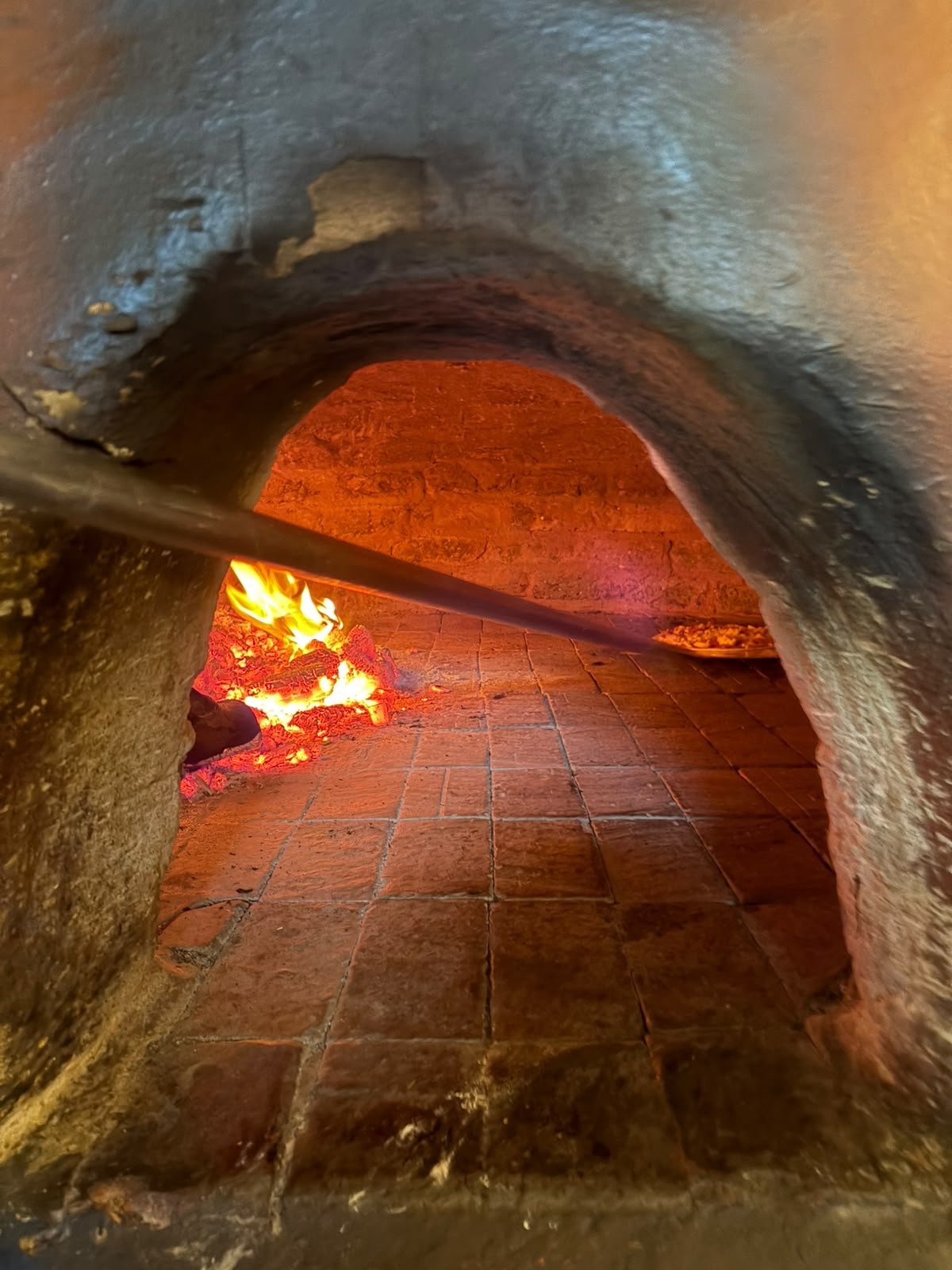 Wood-fired pizza oven, built by hand, burning bright